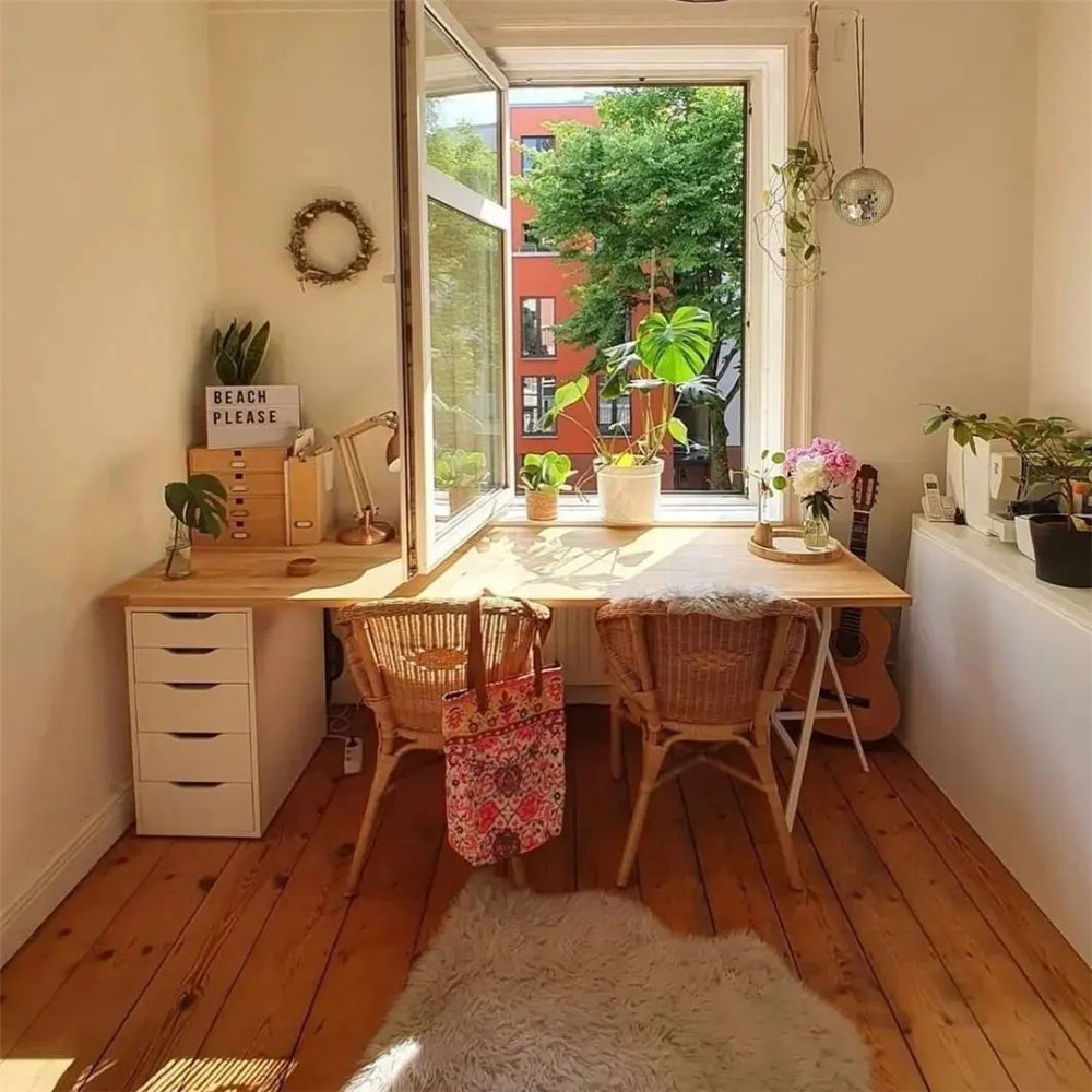 Indoor plants decor ideas