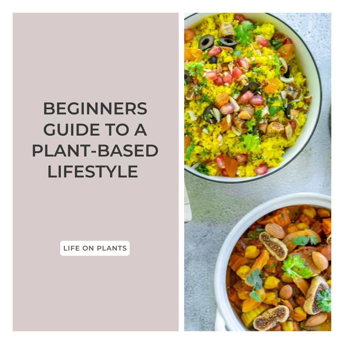 Ultimate guide to plant-based lifestyle