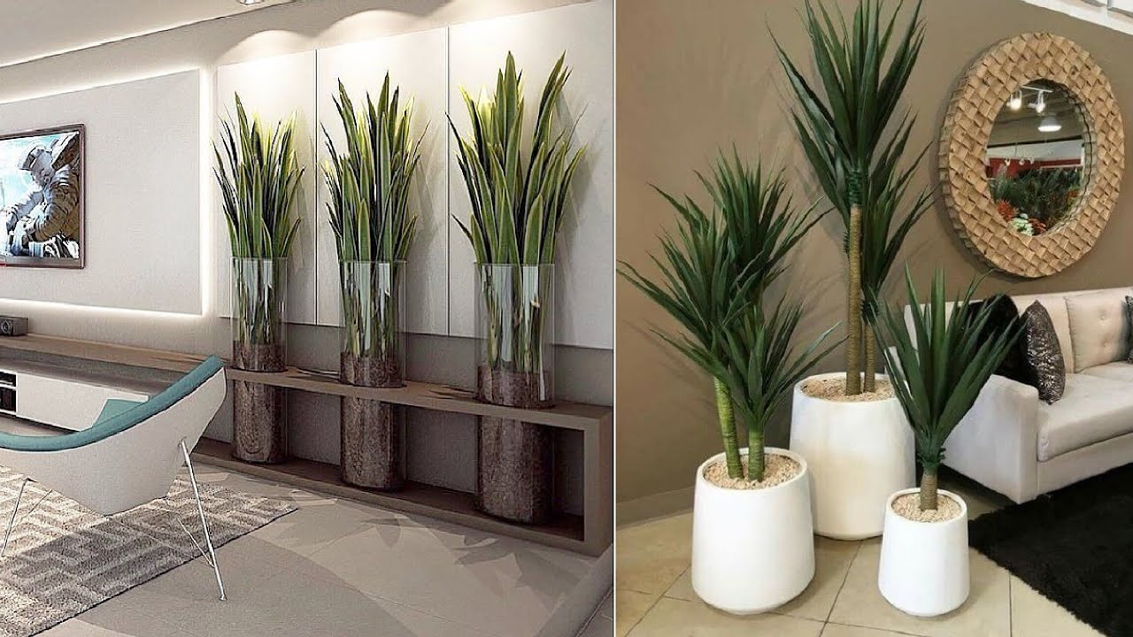 Indoor plants decor ideas